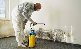 Best Industrial Mold Remediation  in Winthrop, MN