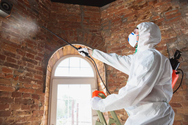 Best Mold Prevention Services  in Winthrop, MN